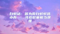 白蟻站：因?yàn)樯紫佅伮沸《]骳，尋覓蟻巢相當(dāng)艱難