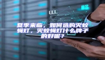 夏季來臨，如何選購滅蚊蠅燈，滅蚊蠅燈什么牌子的好呢？