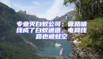 專業(yè)滅白蟻公司：管路暗線成了白蟻通道，電網(wǎng)線路也被蛀空