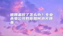 被跳蚤咬了怎么辦？專業(yè)殺蟲公司教你如何消滅跳蚤