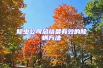 除蟲公司總結(jié)最有效的除螨方法