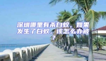 深圳哪里有殺白蟻，如果發(fā)生了白蟻，該怎么辦被？