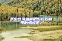 殺蟲(chóng)公司如何消滅螞蟻和預(yù)防螞蟻呢？