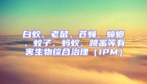 白蟻、老鼠、蒼蠅、蟑螂、蚊子、螞蟻、跳蚤等有害生物綜合治理（IPM）