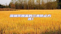 深圳滅跳蚤的三類(lèi)防止方式！