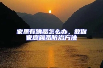 家里有跳蚤怎么辦，教你家庭跳蚤防治方法