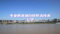 專(zhuān)業(yè)的深圳白蟻防治技術(shù)公司