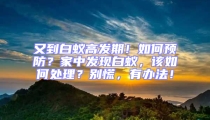 又到白蟻高發(fā)期！如何預(yù)防？家中發(fā)現(xiàn)白蟻，該如何處理？別慌，有辦法！