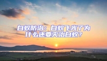 白蟻防治：白蟻飛光了為什么還要滅治白蟻？