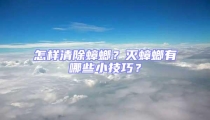 怎樣清除蟑螂？滅蟑螂有哪些小技巧？