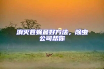 消滅蒼蠅最好方法，除蟲公司幫你