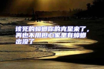 該死的蟑螂你的克星來了，再也不用擔心家里有蟑螂出沒了