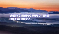 老鼠藥哪種效果好？是毒餌還是蠟塊？