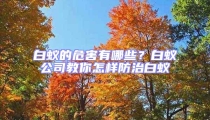 白蟻的危害有哪些？白蟻公司教你怎樣防治白蟻
