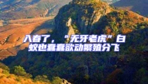 入春了，“無牙老虎”白蟻也蠢蠢欲動繁殖分飛