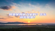 臭蟲是如何入室的？怎么消滅臭蟲？