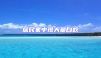 居民家中現(xiàn)大量白蟻