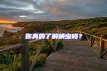 你真的了解螨蟲嗎？