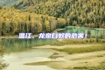 溫江、龍泉白蟻的危害！