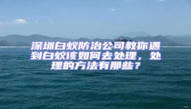 深圳白蟻防治公司教你遇到白蟻該如何去處理，處理的方法有那些？