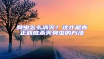 臭蟲怎么消滅？這才是真正徹底殺滅臭蟲的方法