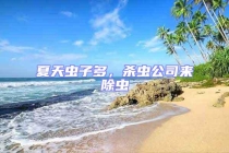 夏天蟲子多，殺蟲公司來除蟲