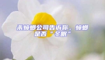 殺蟑螂公司告訴你，蟑螂是否“冬眠”