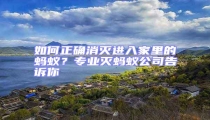 如何正確消滅進(jìn)入家里的螞蟻？專業(yè)滅螞蟻公司告訴你