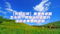 【滅鼠公司】家里有老鼠怎么辦？教你8招驅(qū)鼠方法趕走家里的老鼠