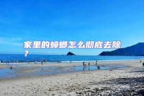 家里的蟑螂怎么徹底去除？