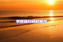 學(xué)院被白螞蟻圍攻