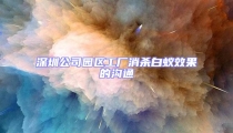 深圳公司園區(qū)工廠消殺白蟻效果的溝通