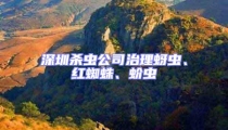 深圳殺蟲(chóng)公司治理蚜蟲(chóng)、紅蜘蛛、蚧蟲(chóng)