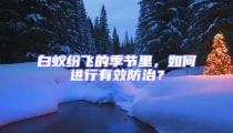 白蟻紛飛的季節(jié)里，如何進行有效防治？