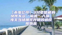 【殺蟲公司】3只老鼠藏身快件車欲“偷渡”入境 海關當場捕滅并銷毀被咬損物品