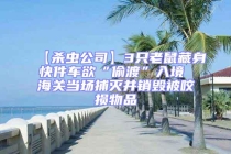 【殺蟲公司】3只老鼠藏身快件車欲“偷渡”入境 海關(guān)當場捕滅并銷毀被咬損物品