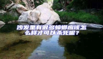 沙發(fā)里有很多蟑螂應該怎么樣才可以殺死呢？