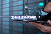 怎么快速殺滅蟑螂 ？