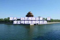 夏天一到蒼蠅就出來，除蟲公司教你如何防治