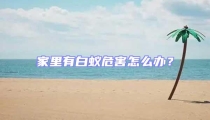 家里有白蟻危害怎么辦？