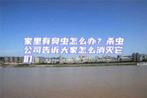 家里有臭蟲(chóng)怎么辦？殺蟲(chóng)公司告訴大家怎么消滅它們