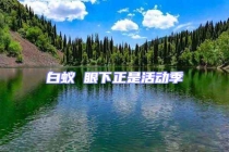 白蟻 眼下正是活動(dòng)季