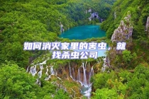 如何消滅家里的害蟲，就找殺蟲公司