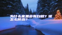 為什么家里會(huì)有白蟻？該怎么防治？