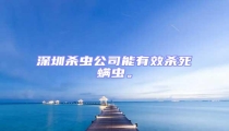 深圳殺蟲公司能有效殺死螨蟲。