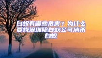 白蟻有哪些危害？為什么要找深圳除白蟻公司消殺白蟻