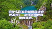 為什么你家的蟑螂永遠(yuǎn)也滅不完？ 小強(qiáng)居然還有鎖骨神功。