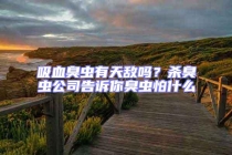 吸血臭蟲有天敵嗎？殺臭蟲公司告訴你臭蟲怕什么