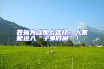 蒼蠅為啥那么難打？人家能進入“子彈時間”！