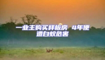 一業(yè)主購(gòu)買樣板房 4年便遭白蟻危害